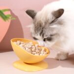 Tazón inclinado para comida de mascotas, taza de té, tazón alto inclinado para proteger el cuello uterino de gatos y cachorros de uso General - Imagen 2