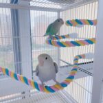 Cuerda de algodón para escalar loros, juguete para pájaros, macarrón, poste de pie tipo U para pájaros, S 24.5cm - Imagen 2