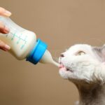 Biberón de leche para mascotas Taza de agua portátil con múltiples tetinas, Small Blue - Imagen 7