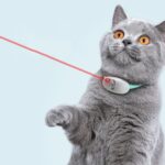 Smart Laser Cat Teaser Collar Ajustable USB Recargable Infrarrojo Cat Teaser Stick