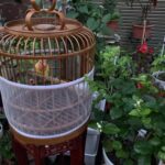 Malla para jaula de pájaros encriptada a prueba de salpicaduras Accesorio para bloquear el polvo Cubiertas para jaulas con pantalla para loros y pulpos, S, M, L, XL, XXL - Imagen 7