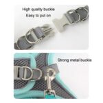 Arnés de pecho para mascotas estilo camiseta interior Correa reflectante transpirable de verano para perros, Green+2m Round Rope - Imagen 3