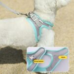 Arnés de pecho para mascotas estilo camiseta interior Correa reflectante transpirable de verano para perros, Green+2m Round Rope - Imagen 8