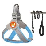 Arnés de pecho para mascotas estilo silla de montar Correa reflectante transpirable para perros, Blue+1.5m Round Rope