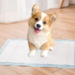 Almohadillas de entrenamiento para mascotas Almohadilla para pañales para perros absorbente de agua espesa, L 60 x 60cm 40pcs / Pack - Imagen 2