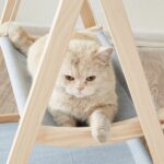 Hamaca de madera maciza de doble capa para gatos, cama universal para gatos, columpio lavable para gatitos, Straw Mat - Imagen 3