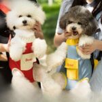 Bolsa de transporte para exteriores para mascotas de cuatro patas DONO Mochila transpirable, L - Imagen 2
