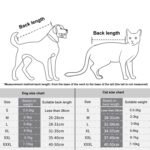Bolsa de transporte para exteriores para mascotas de cuatro patas DONO Mochila transpirable, XL - Imagen 8