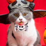 Collar de cuerda elástica ajustable con pajarita decorativa de dibujos animados para mascotas de Halloween, Demon Round Face - Imagen 6