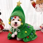 Ropa para mascotas de otoño e invierno, capa para mascotas, chal, transformación de perros, S-For 1.5-2.5kg - Imagen 8