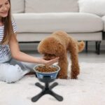 Soporte elevador ajustable para comederos de perros medianos y grandes, Bracket + Stainless Steel Bowl - Imagen 8