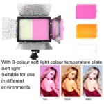 Luz de relleno para video WS-300II Luz de fotografía de belleza LED de temperatura de color dual, Single Lamp+EU Plug Adapter - Imagen 2