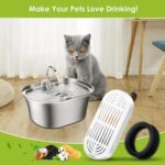 Filtros de repuesto para fuentes de agua para mascotas Cartuchos de filtro de agua potable para perros y gatos con esponjas de prefiltro, 6+6pcs /Box - Imagen 8