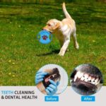Pet Knot Chewing Toy Combination Set, 5pcs /Set Polypropylene Model 435 - Imagen 4
