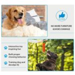 Pet Knot Chewing Toy Combination Set, 5pcs /Set Polypropylene Model 435 - Imagen 5