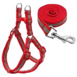 Juego de correas reflectantes de nailon para perros pequeños y medianos, S, M - Imagen 2