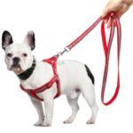 Juego de correas reflectantes de nailon para perros pequeños y medianos, S, M - Imagen 4