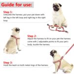 Juego de correas reflectantes de nailon para perros pequeños y medianos, S, M - Imagen 5