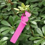 Etiqueta de árbol colgante de semilla de árbol joven de planta de jardinería de 100 piezas, Plant Label 5 Pink