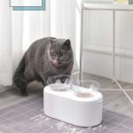 Cuenco transparente para mascotas tipo almacenamiento de granos Protector de cuello cuenco doble oblicuo, Oblique Double Bowl