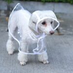 Ropa impermeable transparente impermeable para perro mascota, M - Imagen 3
