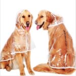 Ropa impermeable transparente impermeable para perro mascota, M - Imagen 5