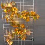 Cadena de luces LED decorativas de 2 m y 10 luces, Maple Leaf - Imagen 4