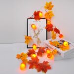 Cadena de luces LED decorativas de 2 m y 10 luces, Maple Leaf + Acorn