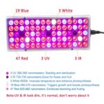 25W 75LEDs Full Spectrum Plant Lighting Fitolampy para plantas Flores Cultivo de plántulas Lámparas LED Grow Light AC85-265V, EU - Imagen 2