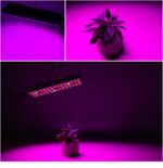 25W 75LEDs Full Spectrum Plant Lighting Fitolampy para plantas Flores Cultivo de plántulas Lámparas LED Grow Light AC85-265V, EU - Imagen 3