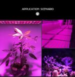 45W 144LEDs Full Spectrum Plant Lighting Fitolampy para plantas Flores Cultivo de plántulas Lámparas LED Grow Light AC85-265V, AU - Imagen 8