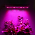 45W 144LEDs Full Spectrum Plant Lighting Fitolampy para plantas Flores Cultivo de plántulas Lámparas LED Grow Light AC85-265V, UK - Imagen 10