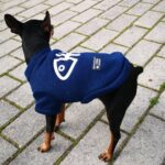 Otoño Invierno Ropa para mascotas Chaleco para mascotas Sudadera con capucha de espina de pescado para cachorros, S - Imagen 3
