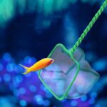 Fish Tank Fish Net Square Aquarium Squid Net, 8 inch - Imagen 9