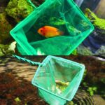 Fish Tank Fish Net Square Aquarium Squid Net, 10 inch - Imagen 10