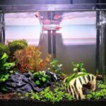 Flocked Caple Box Turtle Ocultar Nido Moss Cave Turtle Cave Tumbona, GT46 - Imagen 4