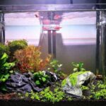 Flocked Caple Box Turtle Ocultar Nido Moss Cave Turtle Cave Tumbona, GT47 - Imagen 4