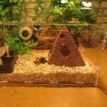 Pecera Aquascape Escondite Casa Resina Pirámide Camarón Casa Escondite Cueva, 10x11cm Medium - Imagen 7