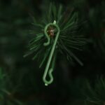 Decoración para árbol de Navidad, gancho en forma de S, suministros festivos, accesorios de plástico auxiliares, 10Set - Imagen 6