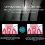 Engranaje eléctrico ultrasónico recargable de Flosser 6 de los cepillos de dientes de la cerda suave con 4 cepillos - Imagen 11