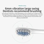Engranaje eléctrico ultrasónico recargable de Flosser 6 de los cepillos de dientes de la cerda suave con 4 cepillos - Imagen 5