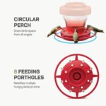 Comedero para pájaros colgante desmontable para exteriores - Imagen 4
