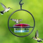Comedero para pájaros colgante de metal para jardín y patio al aire libre, Black - Imagen 4