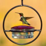 Comedero para pájaros colgante de metal para jardín y patio al aire libre, Red - Imagen 5