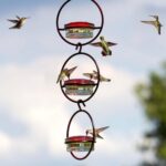 Comedero para pájaros colgante de metal para jardín y patio al aire libre, Red - Imagen 6
