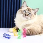 Paquete de 4 juguetes de espiral autoexcitantes con forma de gato de colores, 3packs - Imagen 2