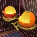 Comedero de plástico a prueba de derrames para loros, forma de fruta, jaula para pájaros, taza de comida, Pomegranate - Imagen 2