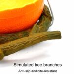Comedero de plástico a prueba de derrames para loros, forma de fruta, jaula para pájaros, taza de comida, Pumpkin - Imagen 4