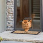 Puerta mosquitera para mascotas, para perros y gatos, con entrada y salida libres, puerta de celosía, 25 x 31.5cm - Imagen 6