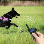 Dispositivo de entrenamiento para perros con control remoto y descarga eléctrica inteligente T720 de 1000 m, Red Remote - Imagen 6
